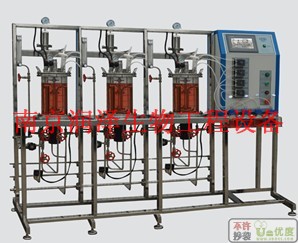 RZG-DME系列多联平行磁耦合搅拌玻璃发酵罐