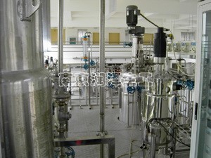 中试型成套发酵设备(100L-1000L之间)