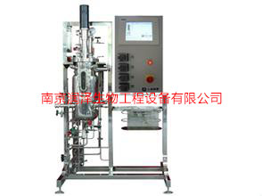 机械搅拌式发酵罐